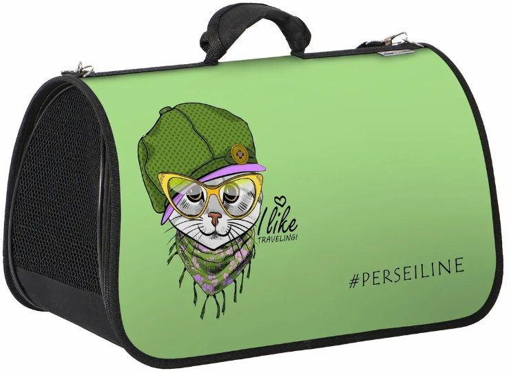 Сумка-переноска ХАРД ДИЗАЙН разм. L 46*27*28 PerseiLine СП-203 Кошка в зеленой шляпе
