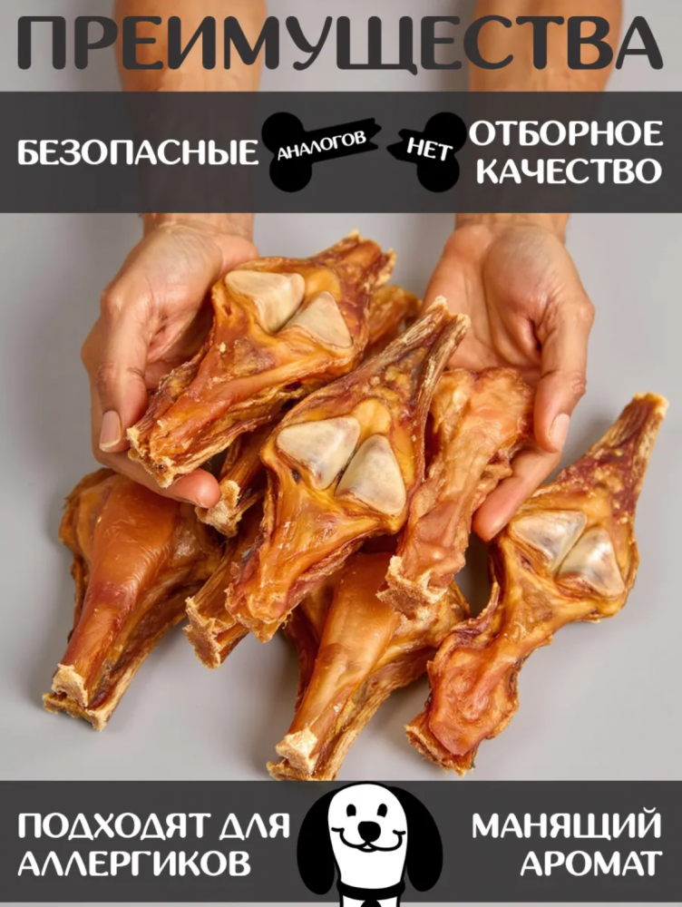 Лакомства For Rodent Dog конское сухожилие 20nсм 100 г С КОСТЬЮ для собак