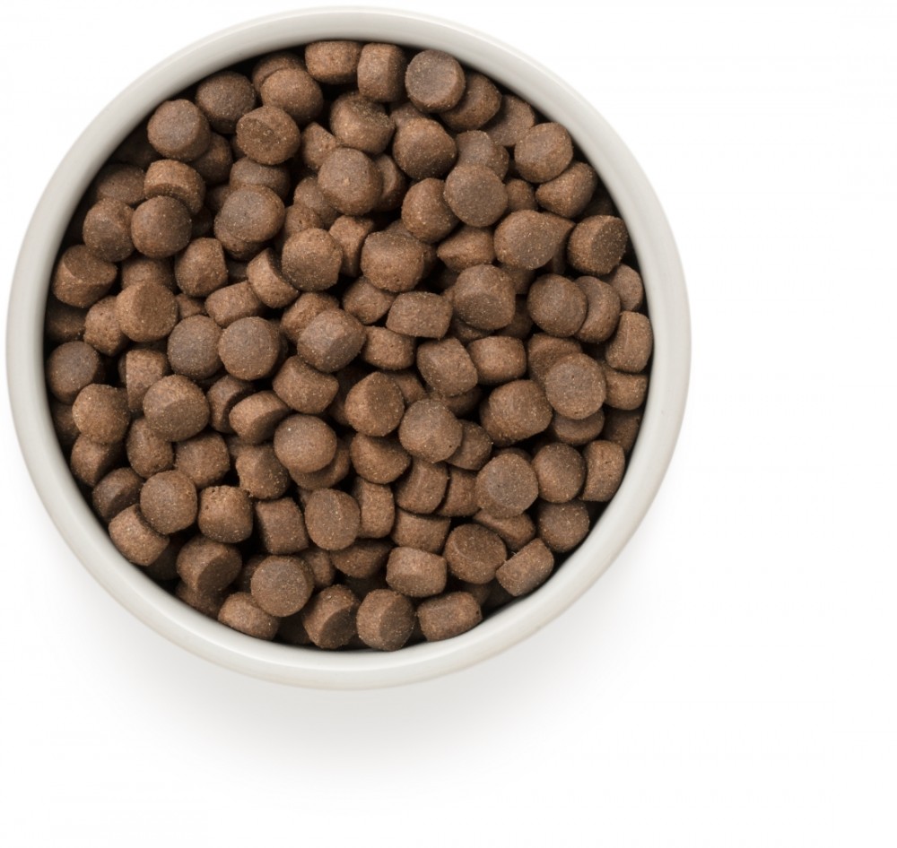 Корм Grandorf 4 Meat Recipe Medium & Maxi Holistic Probiotic для собак средних и крупных пород, с ПРОБИОТИКАМИ, 4 вида мяса с рисом