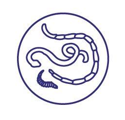 Препарат противопаразитный для котят и щенков Астрафарм Празител 2таблетки