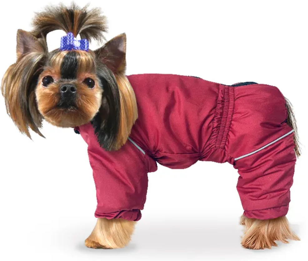 ZooTREND Зимний комбинезон для собак Актив